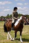 Wanborough Horse and Dog show